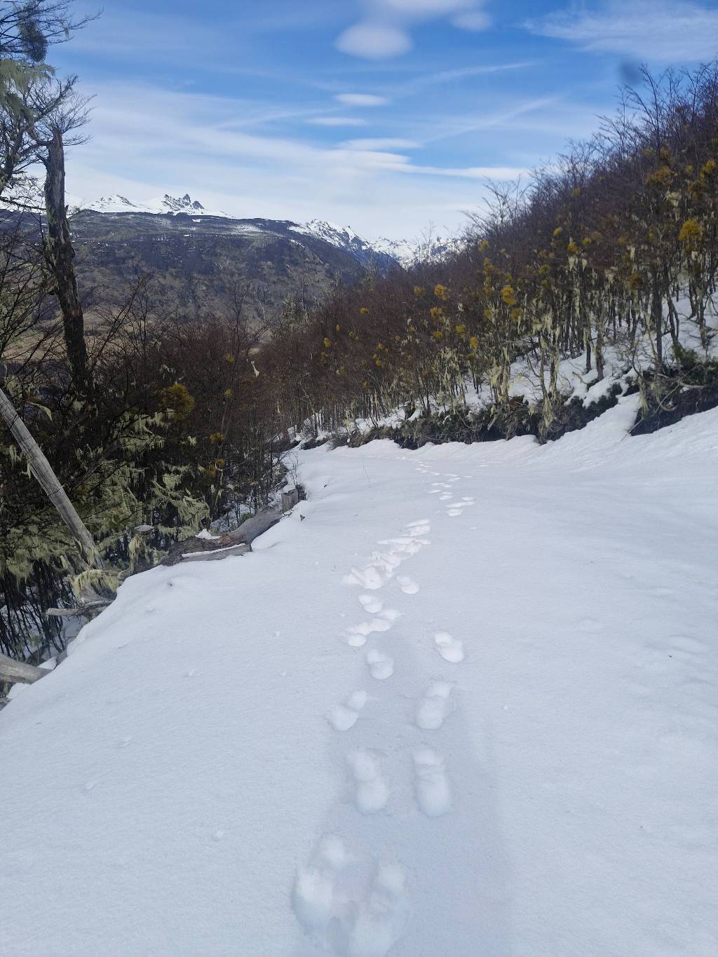 Cerro Monreal (aproximación a cumbre)