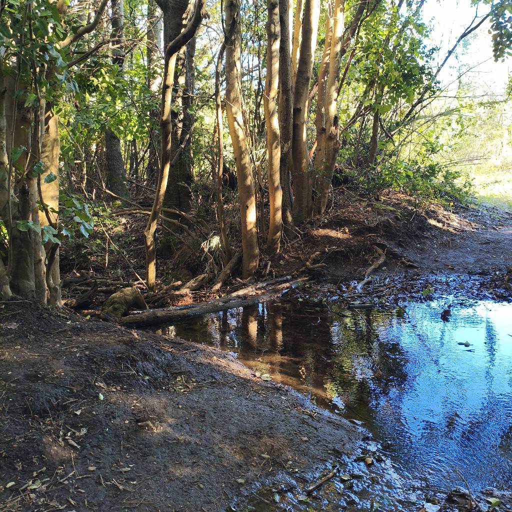Laguna cañicura