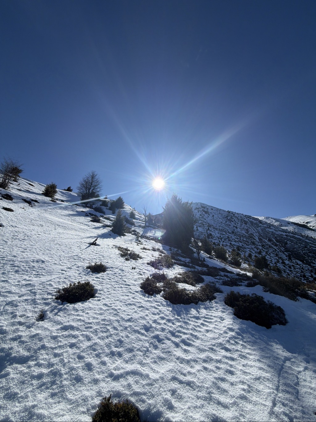 Cerro Colorado