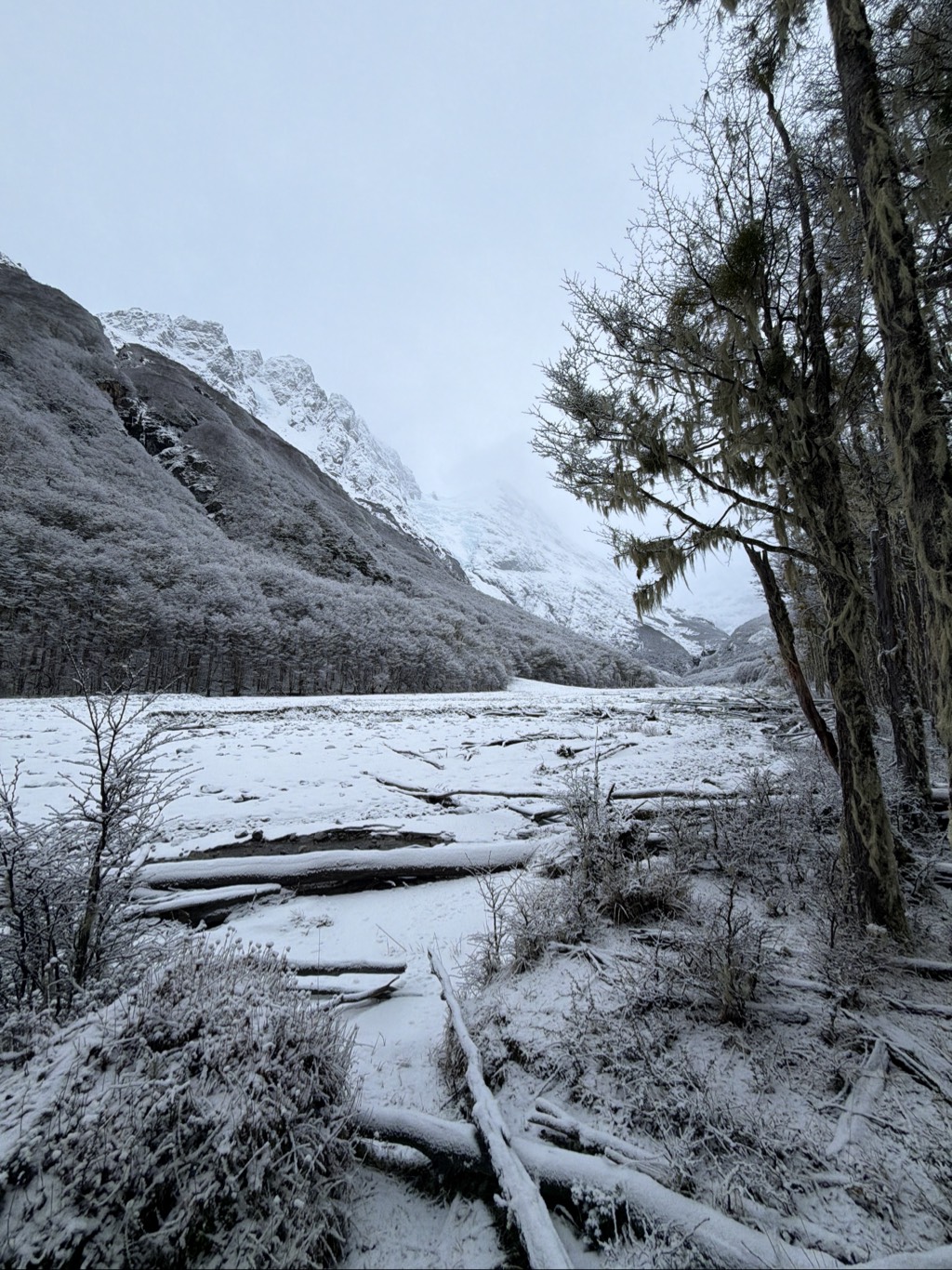 Glaciar Tronador