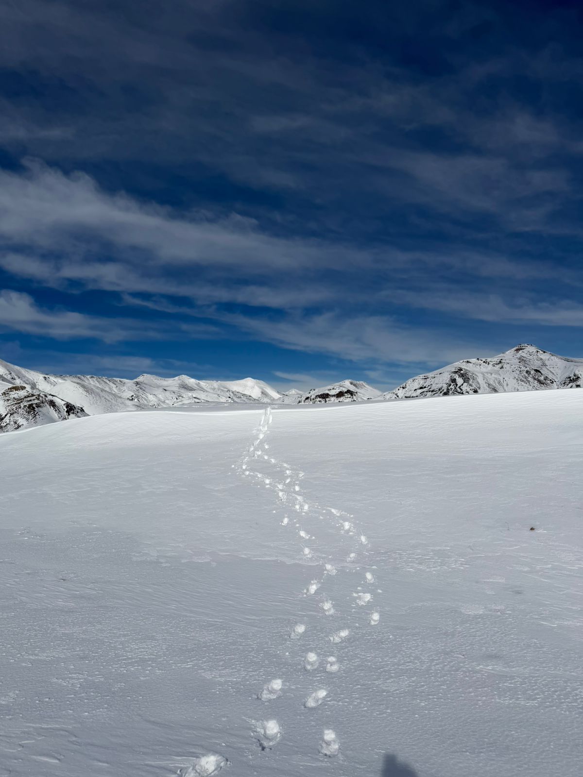 Trekking Valle El Boliche