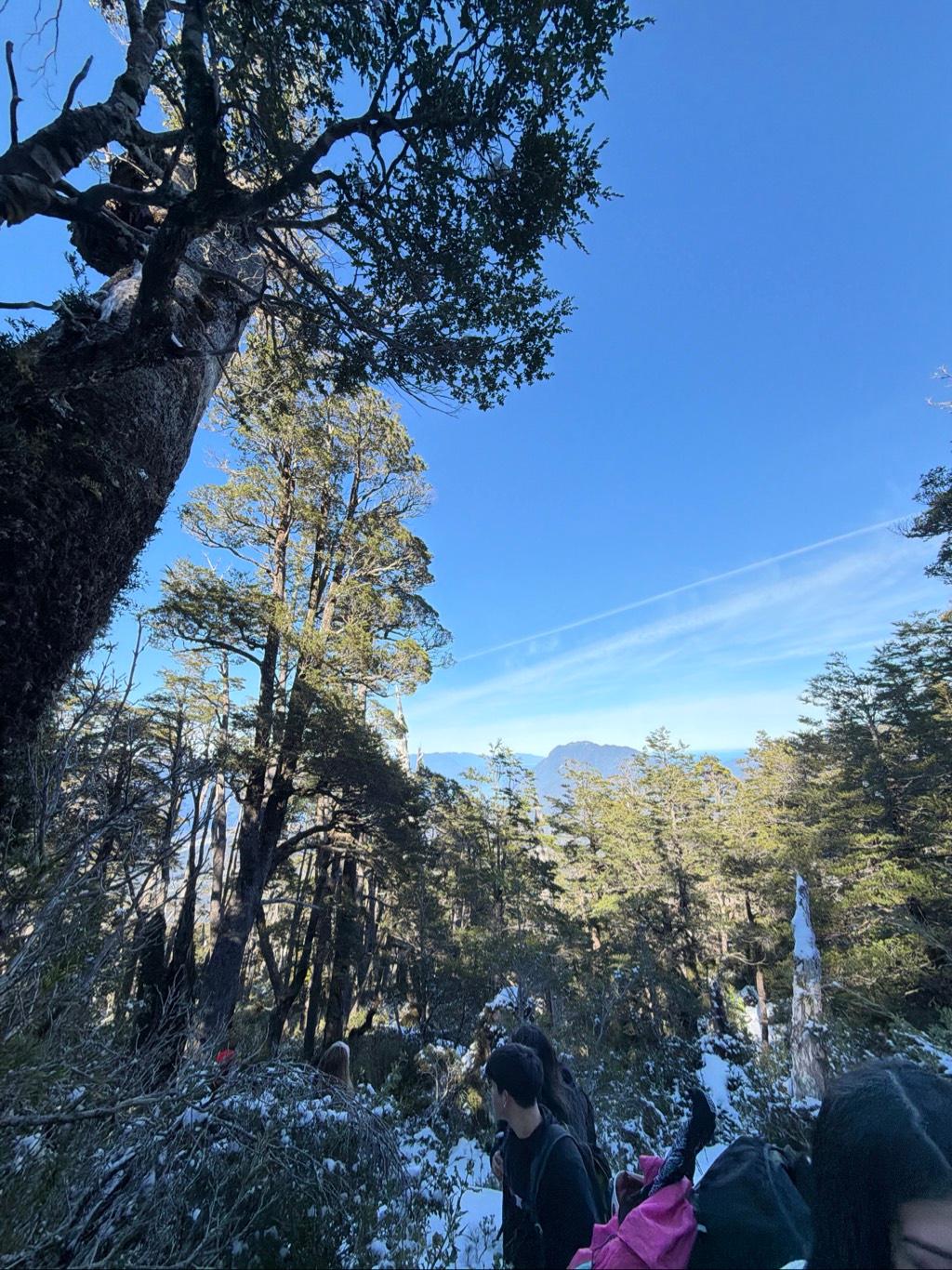 Mirador
