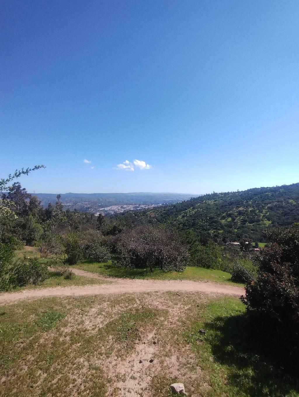 Mirador