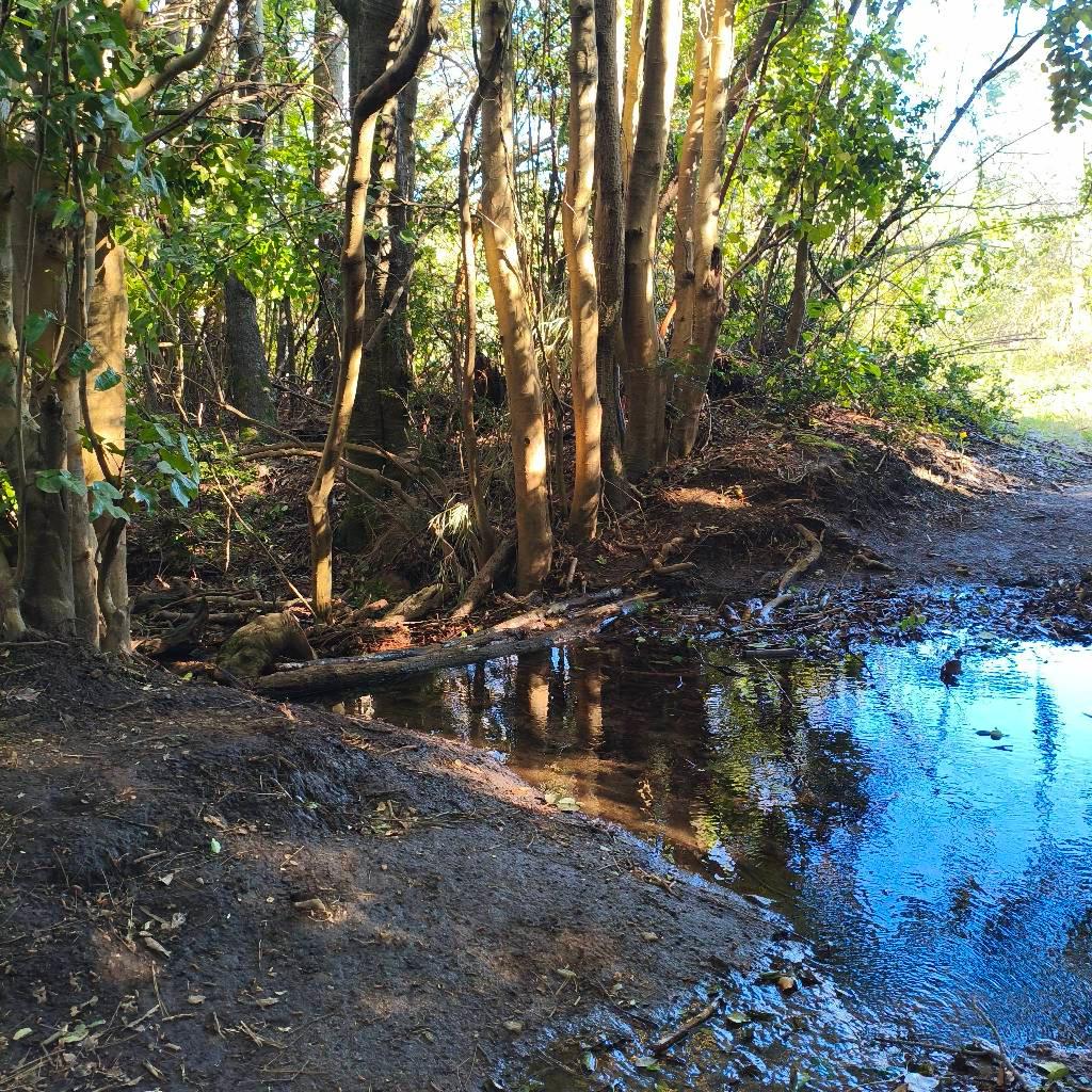Cruce de río