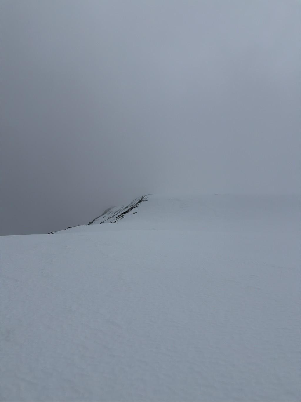 Mirador