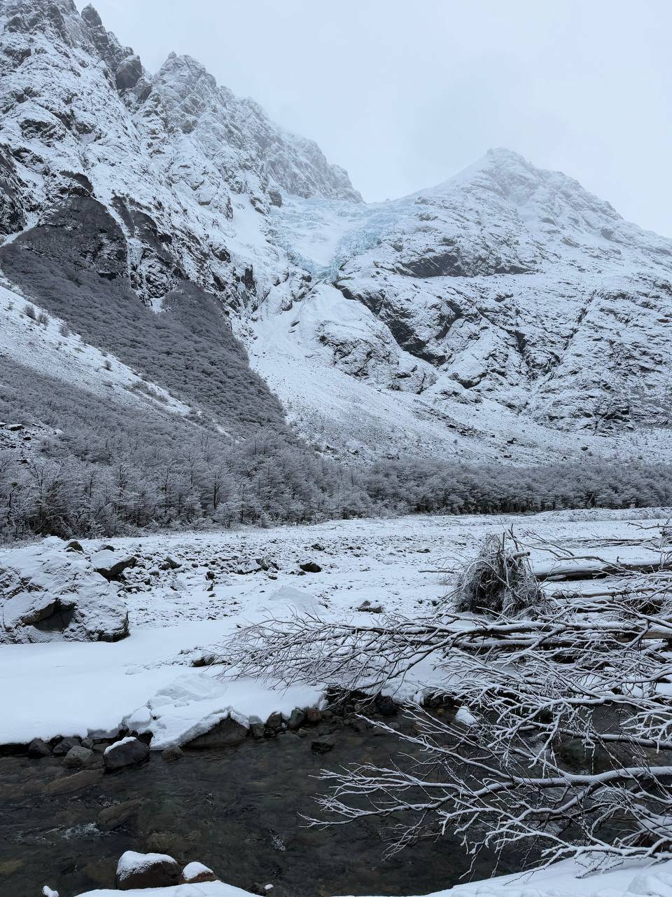 Glaciar Tronador