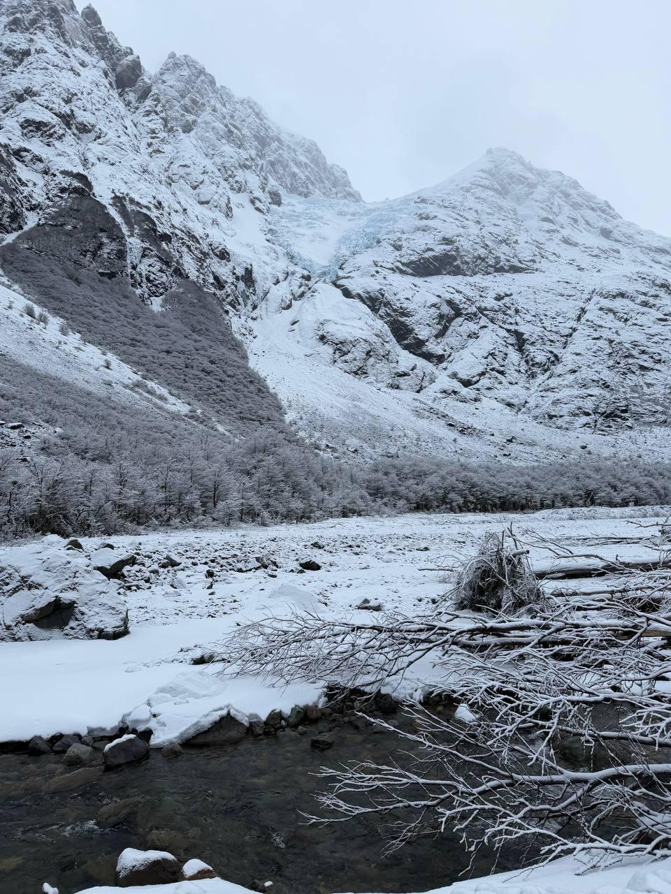 Glaciar Tronador
