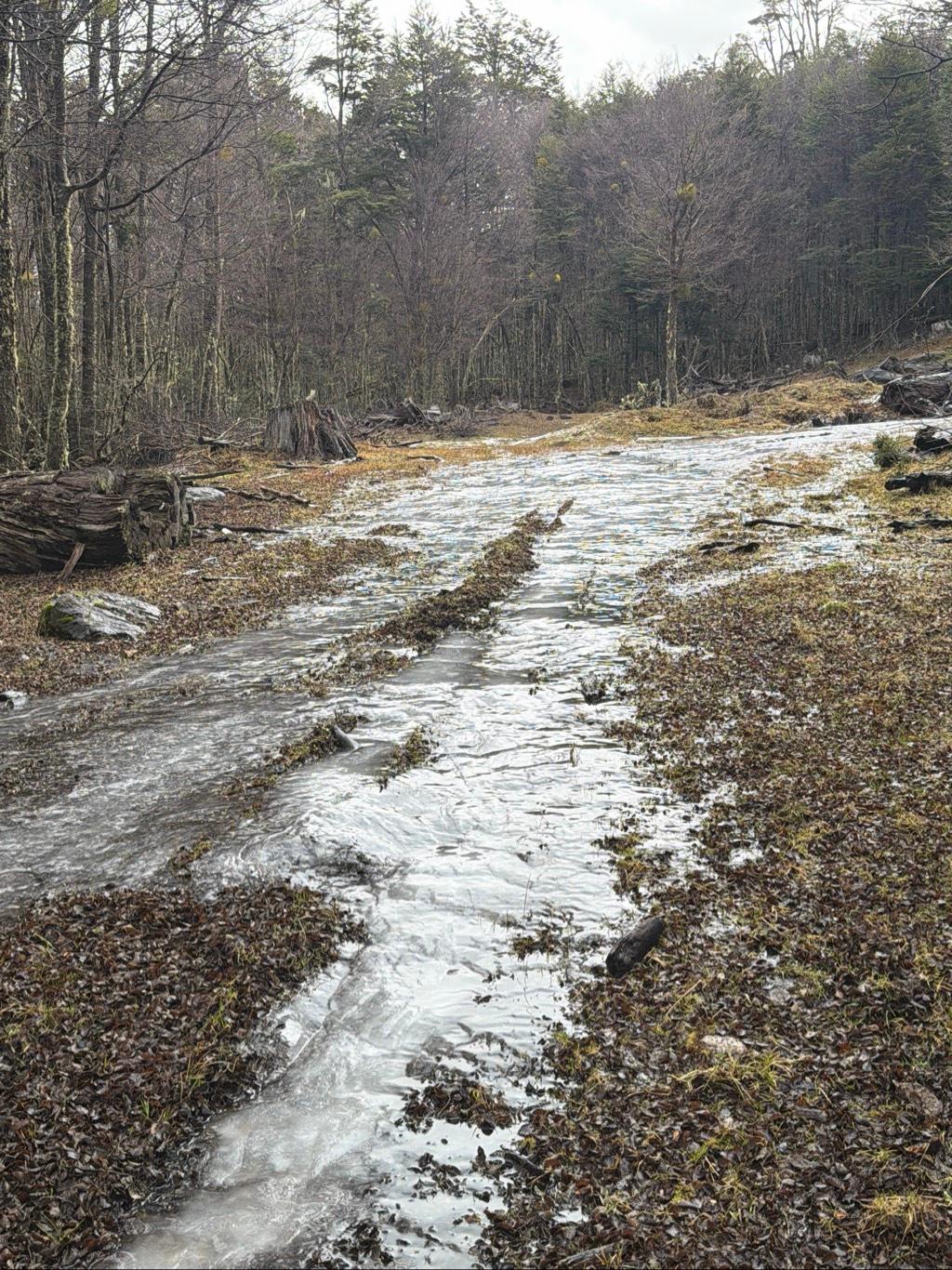 Camino Congelado