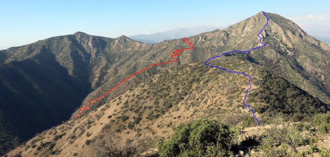 Manquehue - Carbón