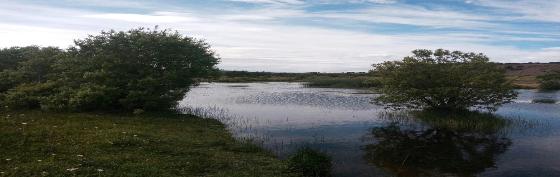 Saltos del Río Huemules