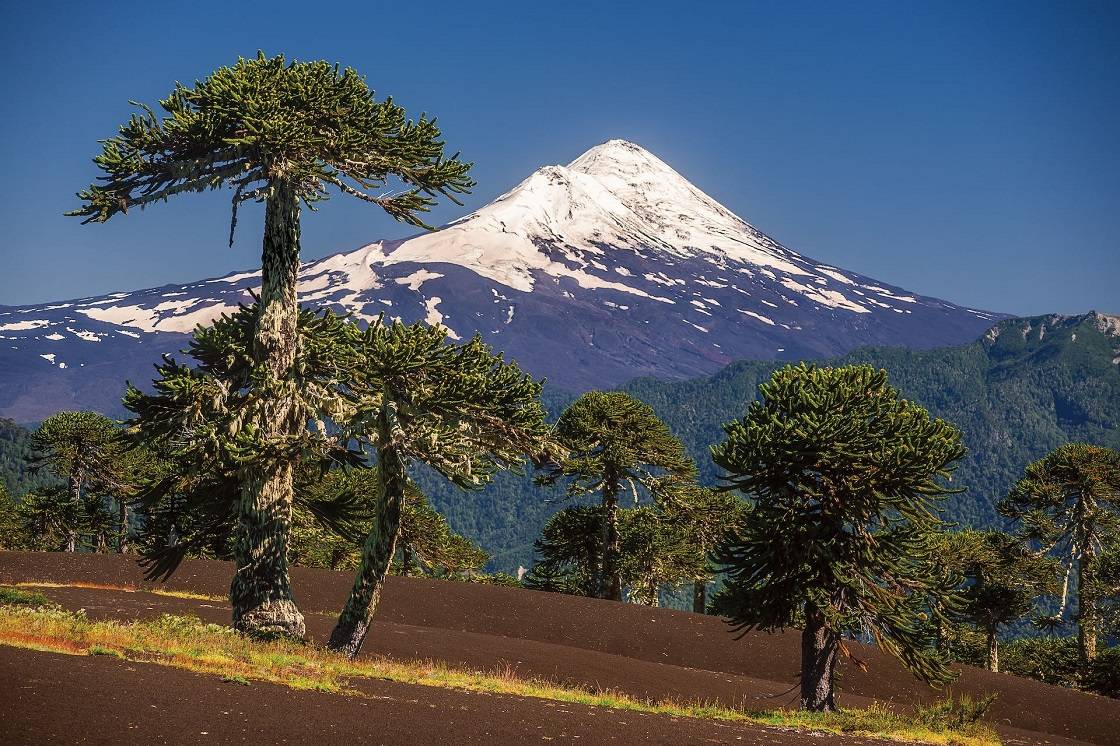 Volcán Llaima