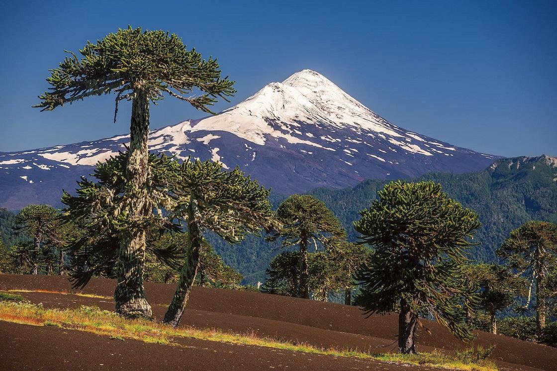 Volcán Llaima