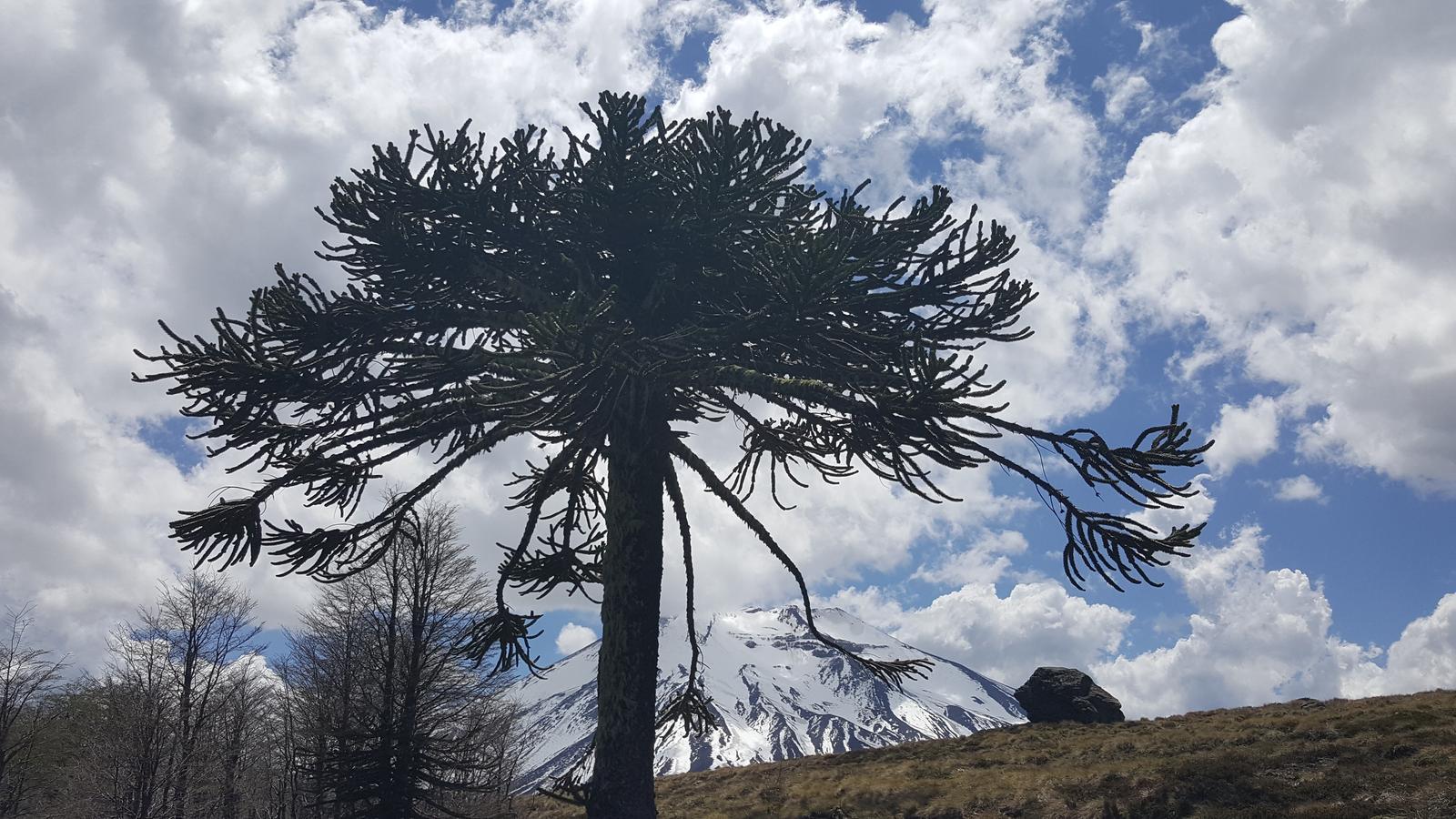 Travesía Sierra del Coloradito Sendero Piedra Santa