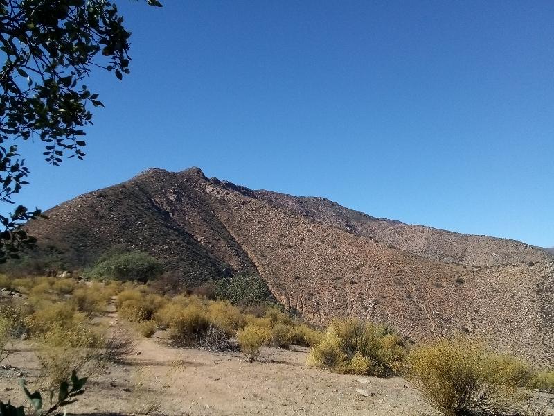 Cerro Tres Puntas