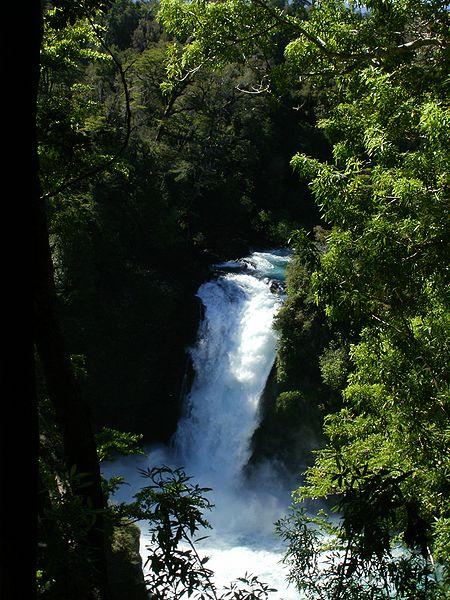 Salto del Huilo Huilo - Puma