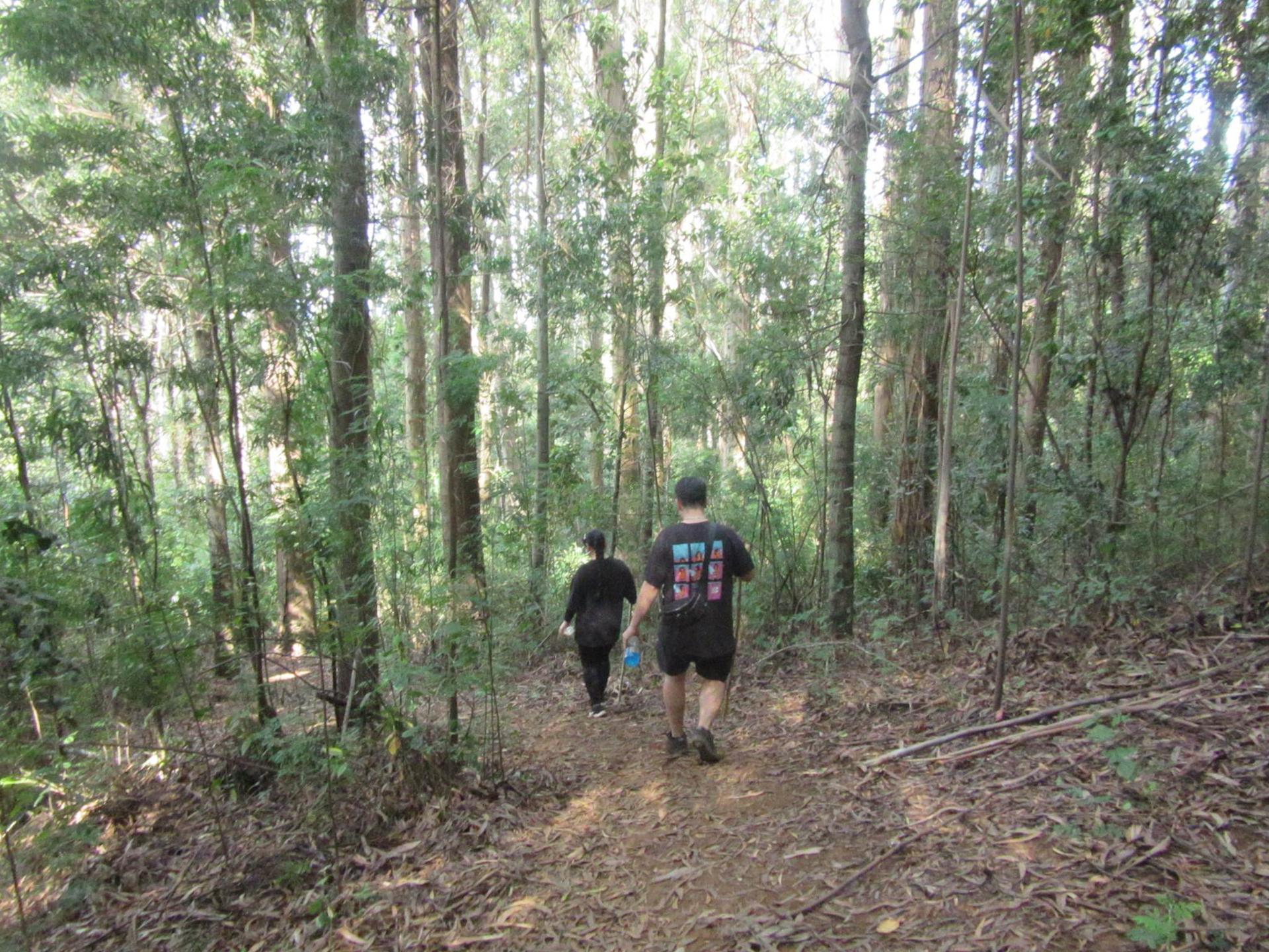 Sendero Valle