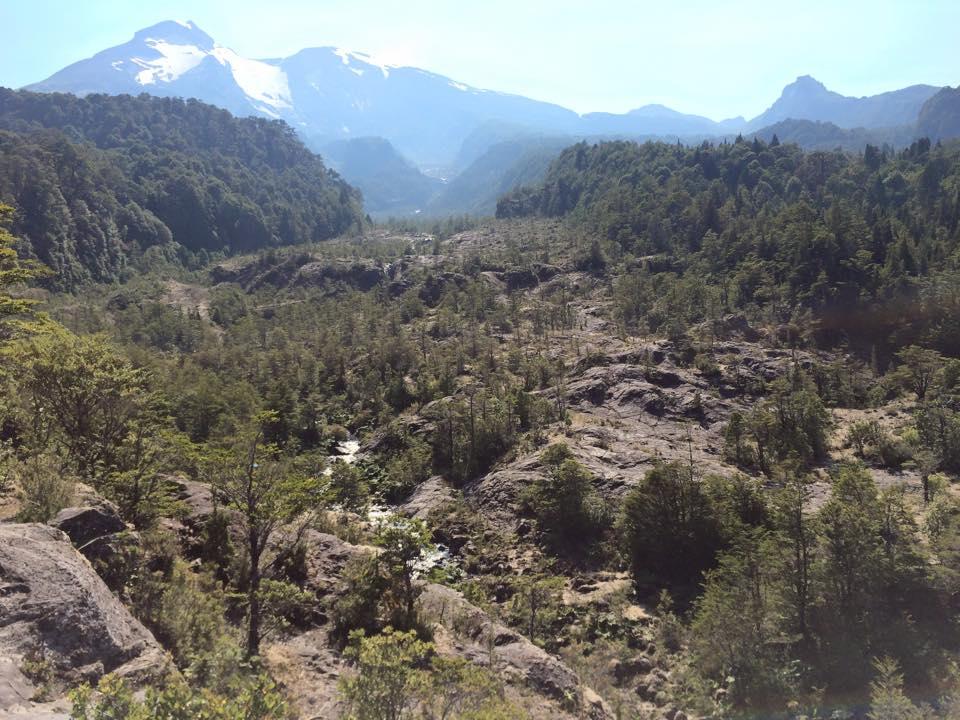 Colmillos del Río Blanco
