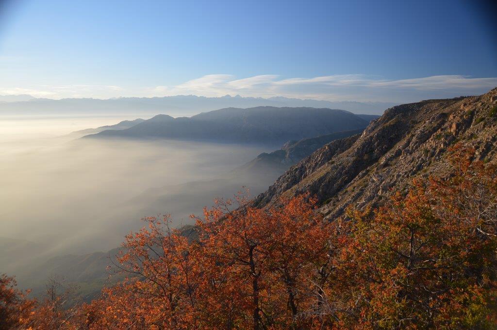 Altos de Cantillana