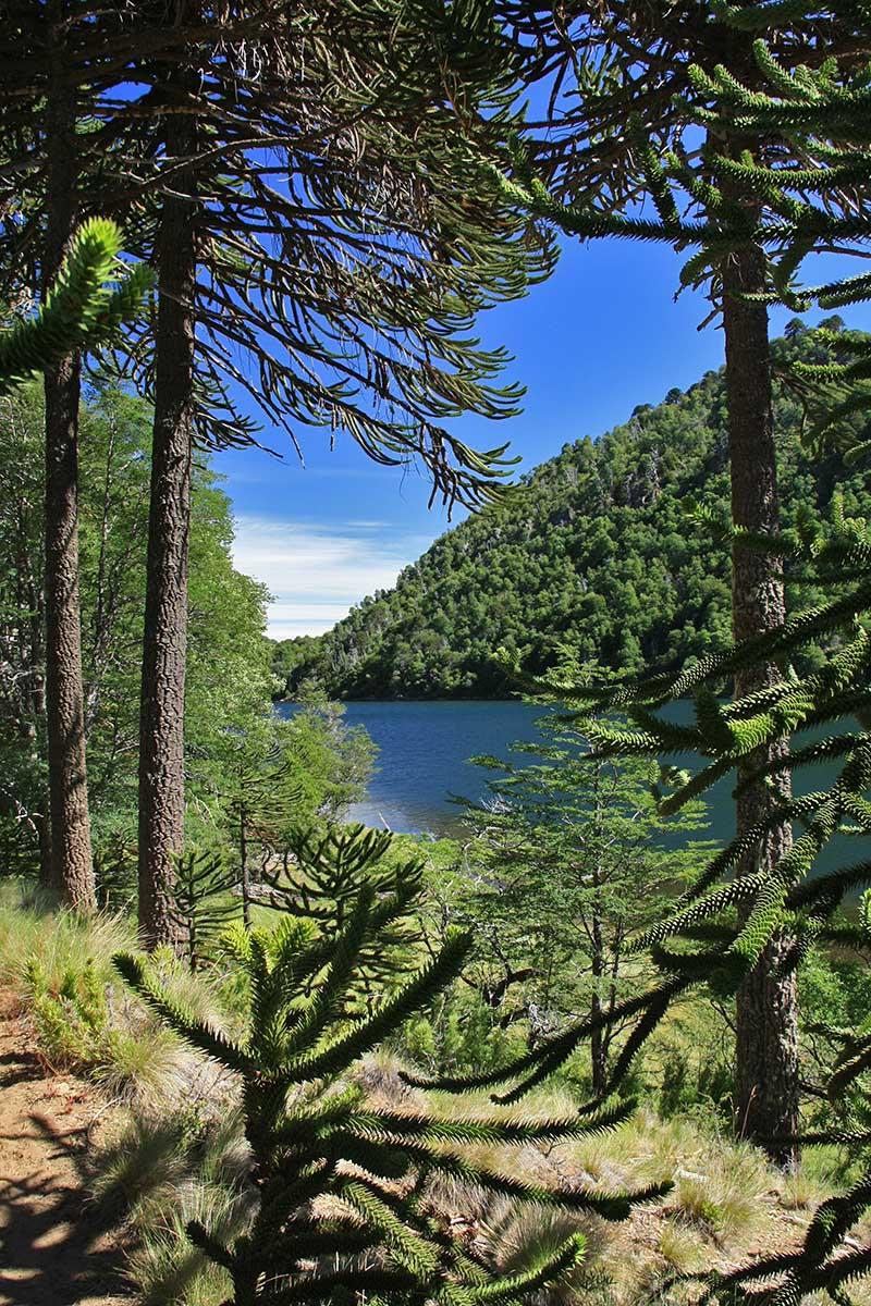 Laguna Mariñanqui