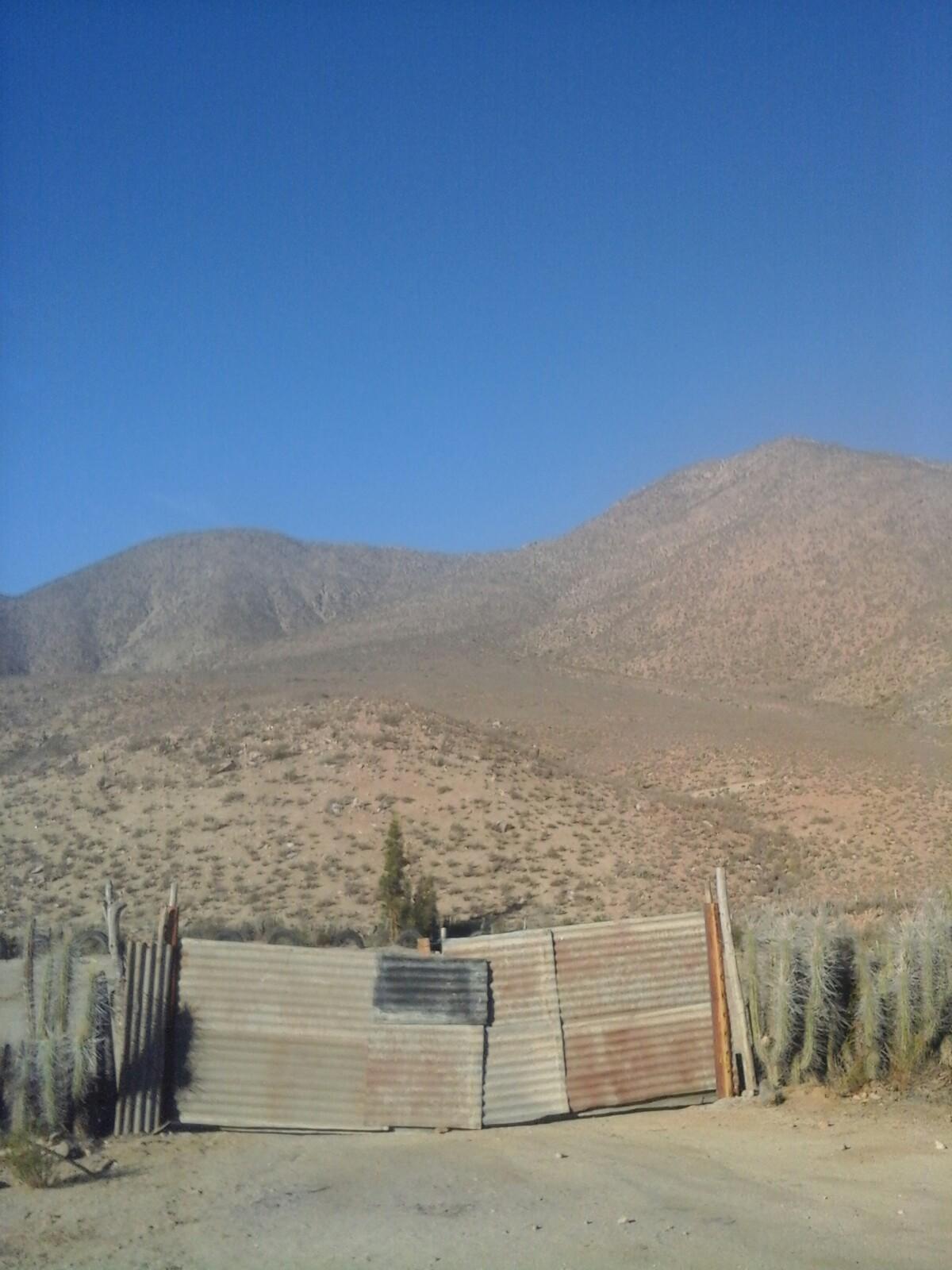 Cerro El Buitre