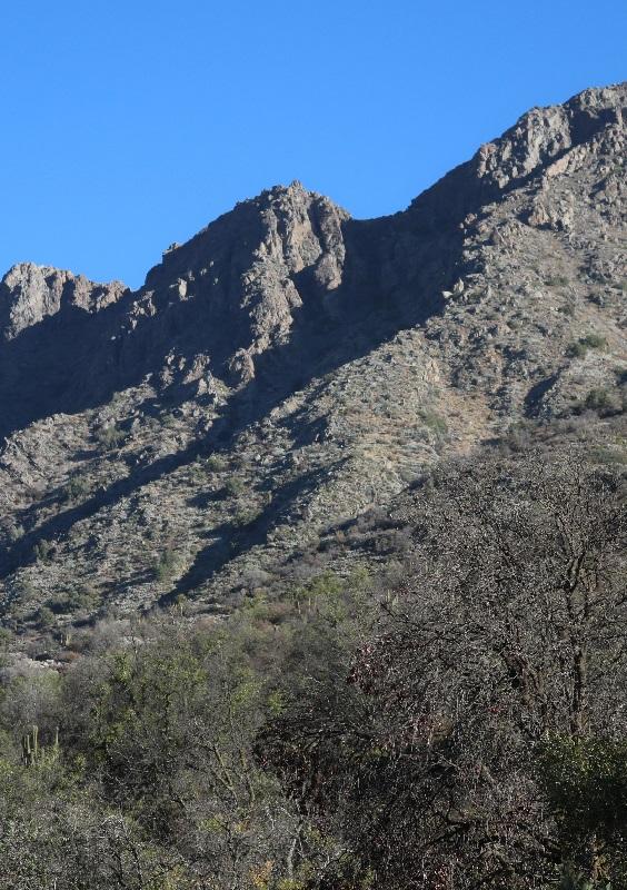 Cerro Las Vizcachas (Olmué)