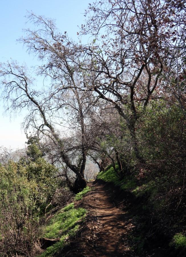 MTB Classic Manquehue