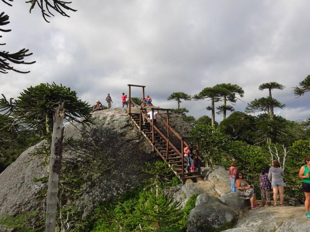 Parque Nacional Nahuelbuta