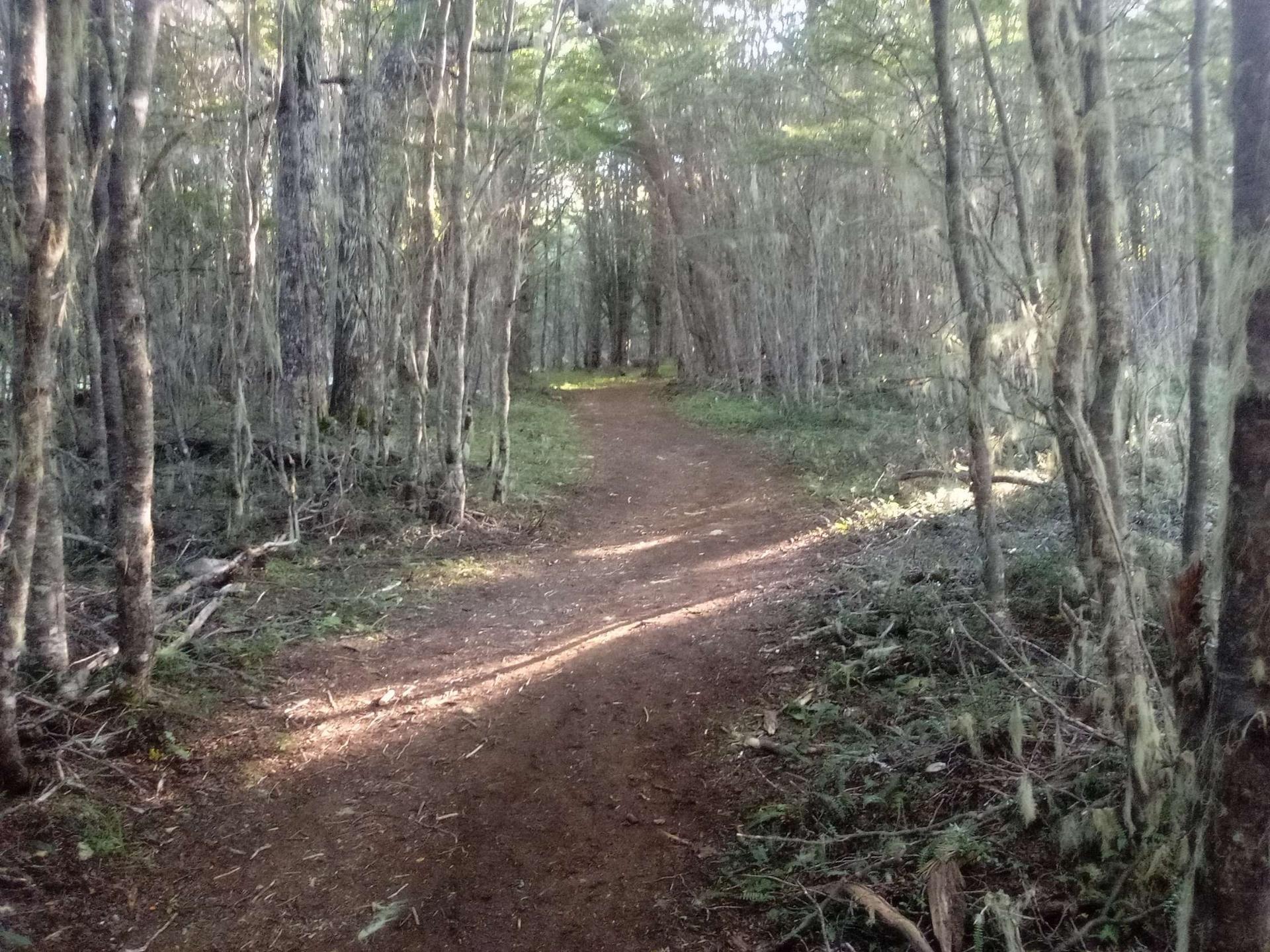 Sendero Las Lengas