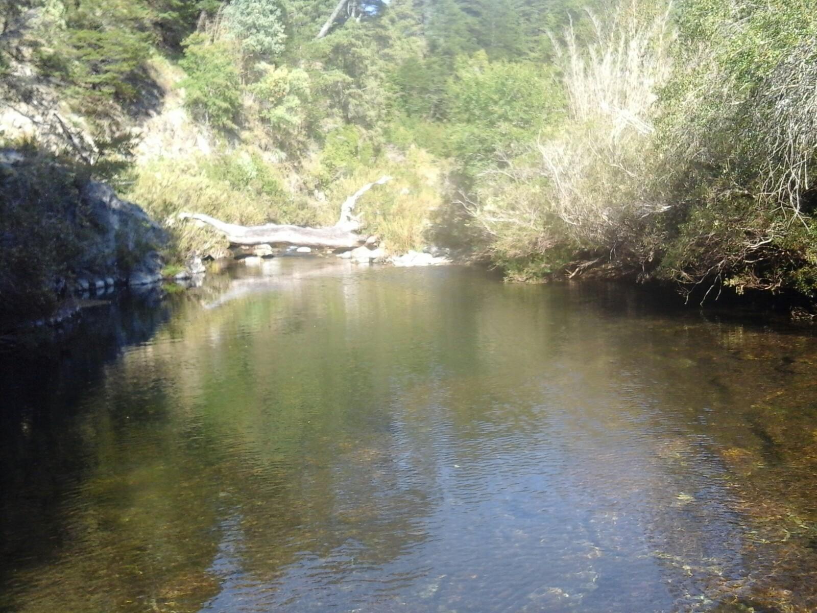 Valle del Río Bullileo