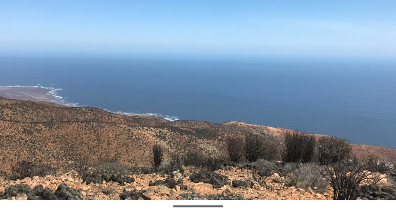 Mirador de Paposo