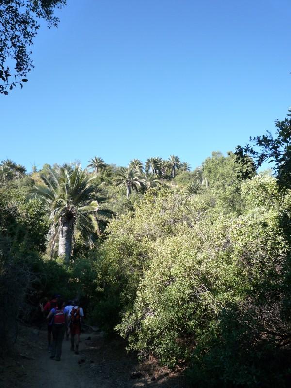 Caleu - Ocoa