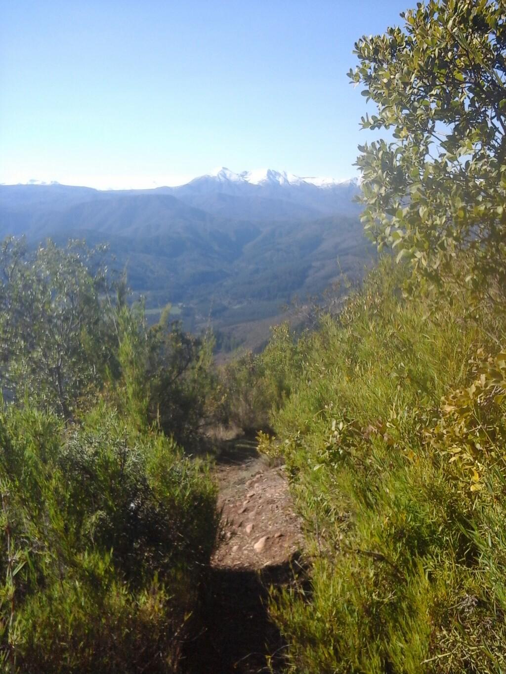 Cerro El Ñame