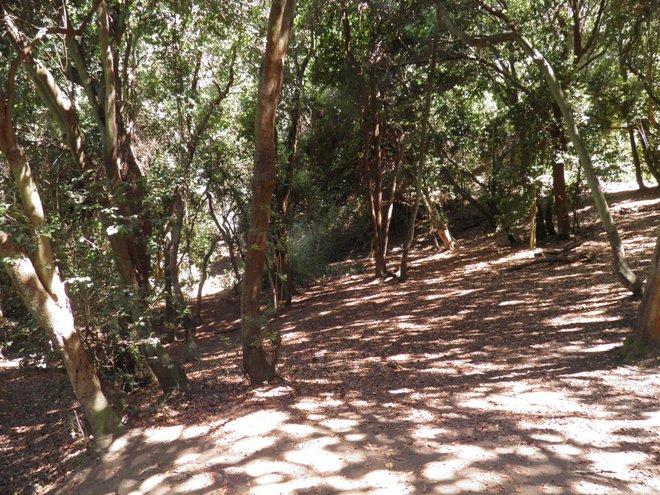 Quebrada del Tigre