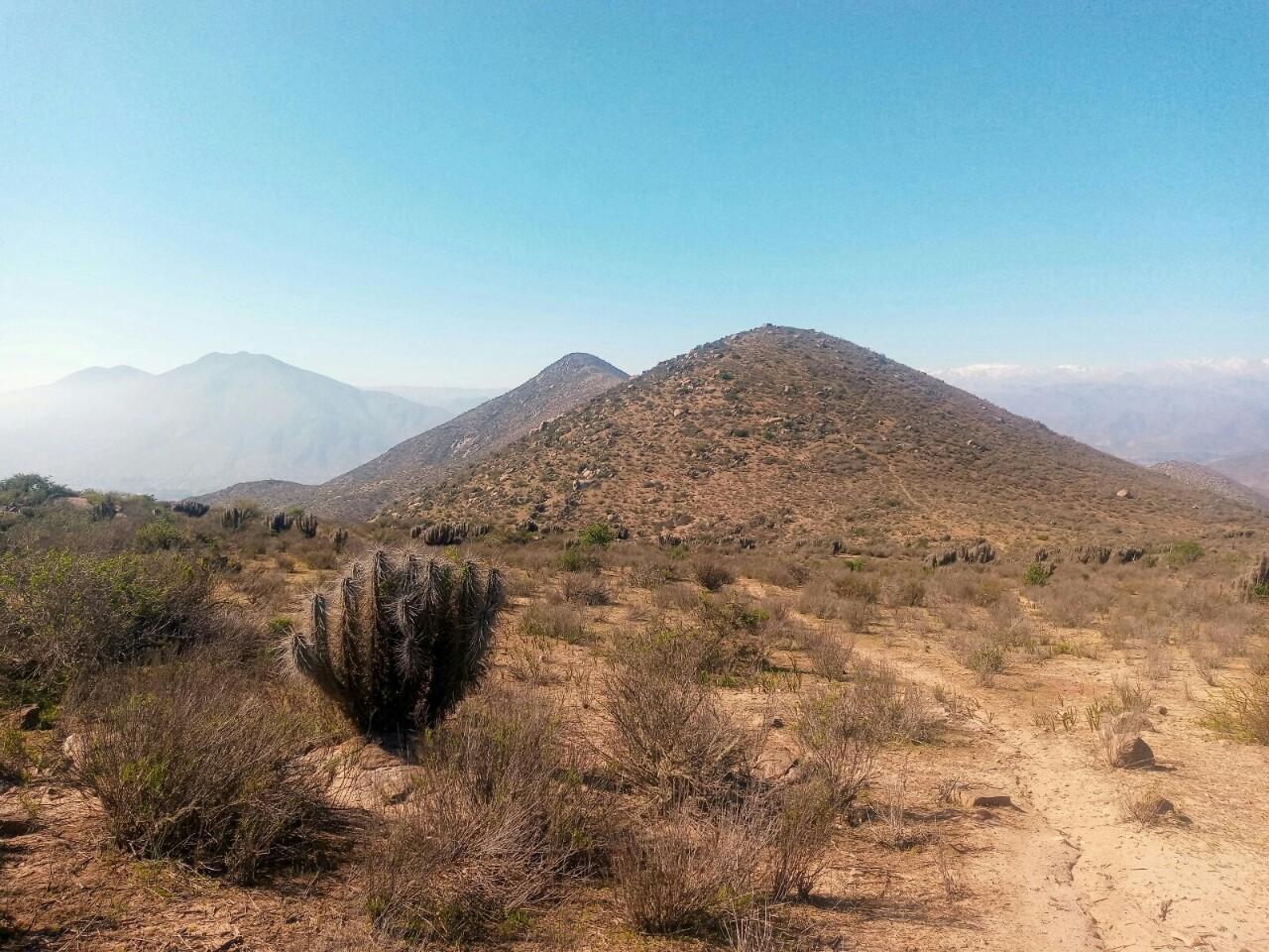 Quebrada de Talca - Fundo El Hinojal
