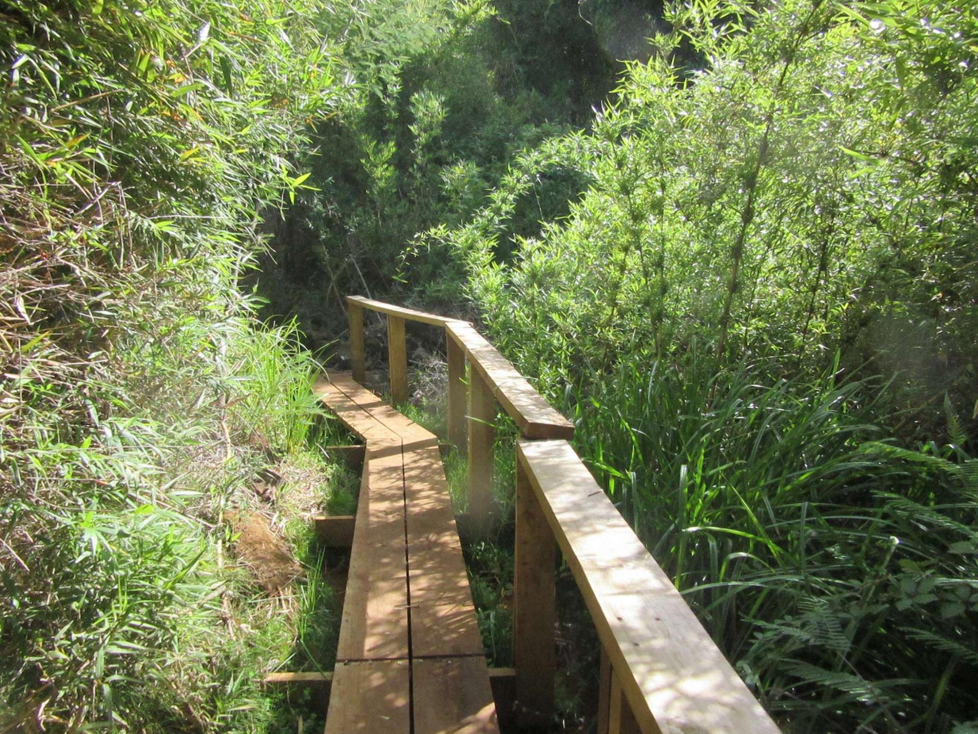 Sendero Morán