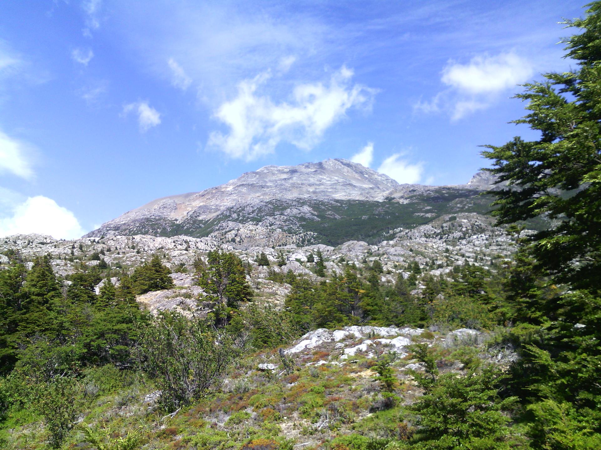 Cerro Altavista