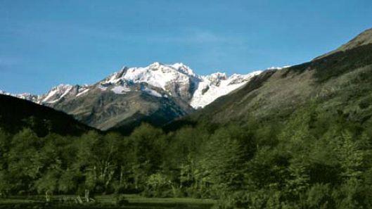 Glaciar Río Mosco