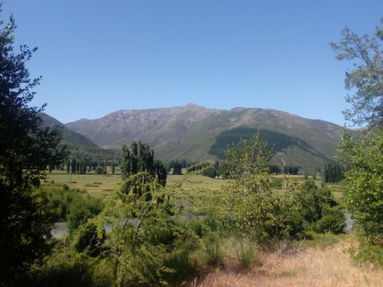 Cerro La Leona