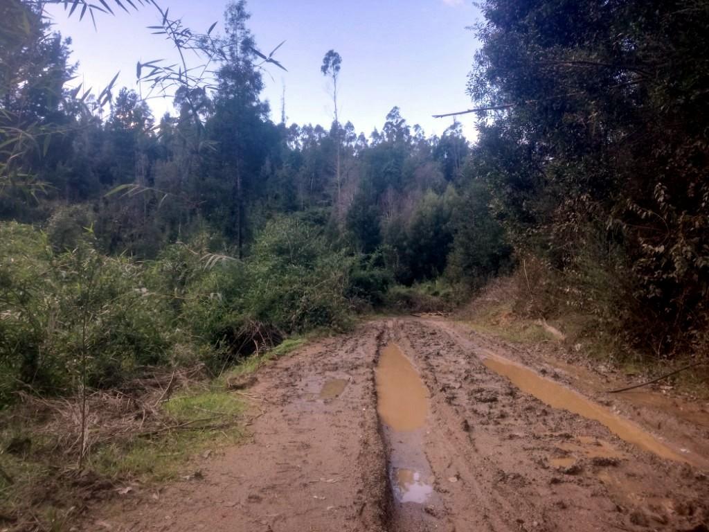 Cerros del Valle Nonguén