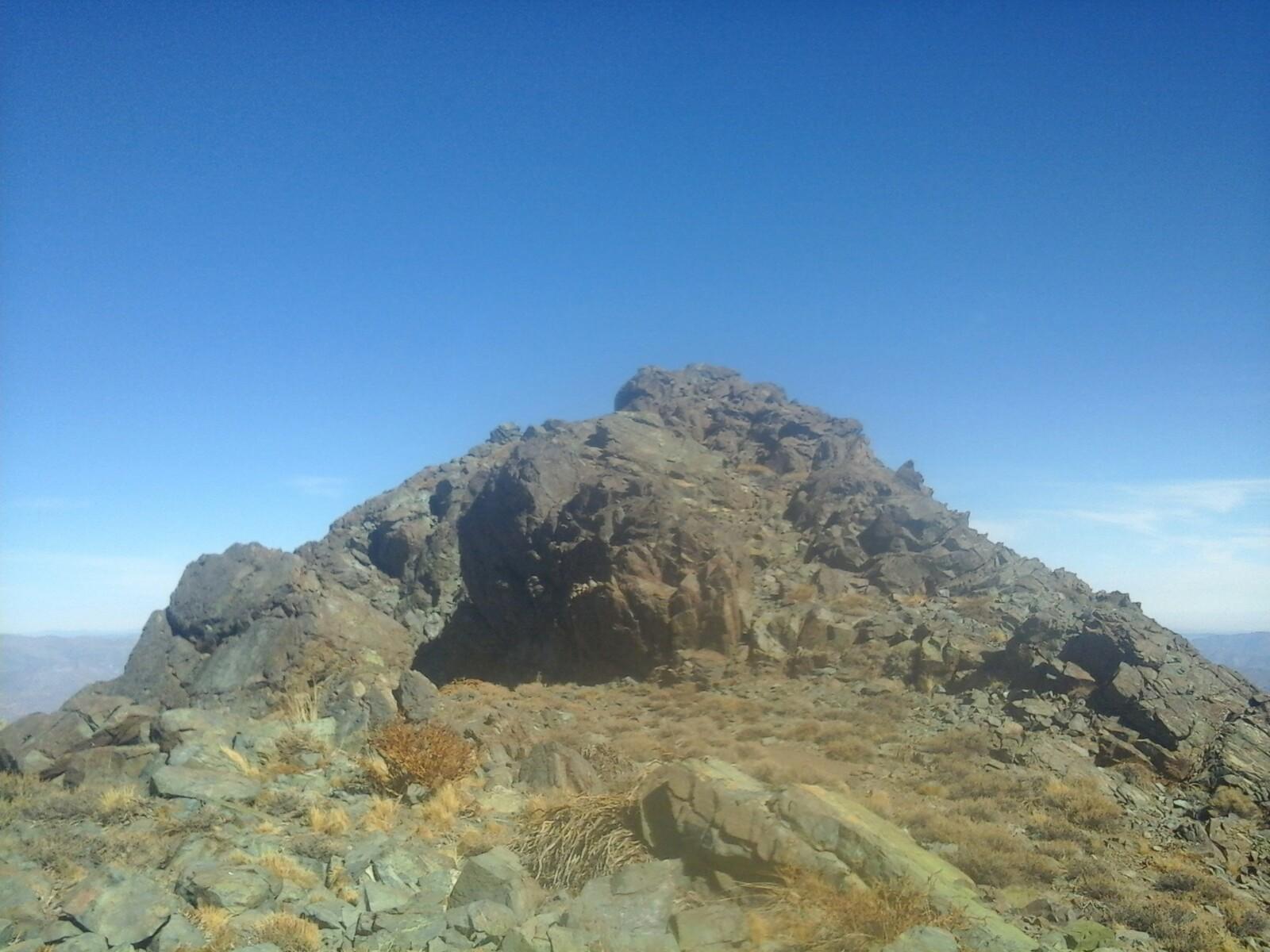 Cerro Negro, Vicuña