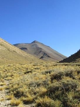 Cerro Mora