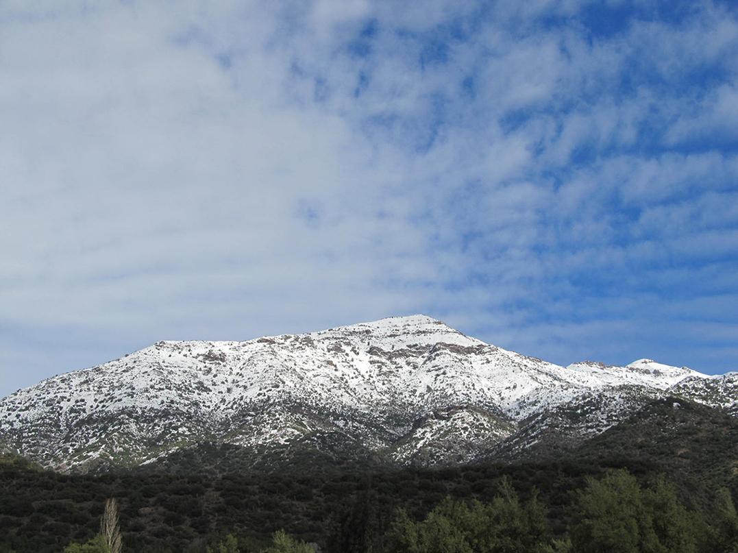 Morro Buitrero