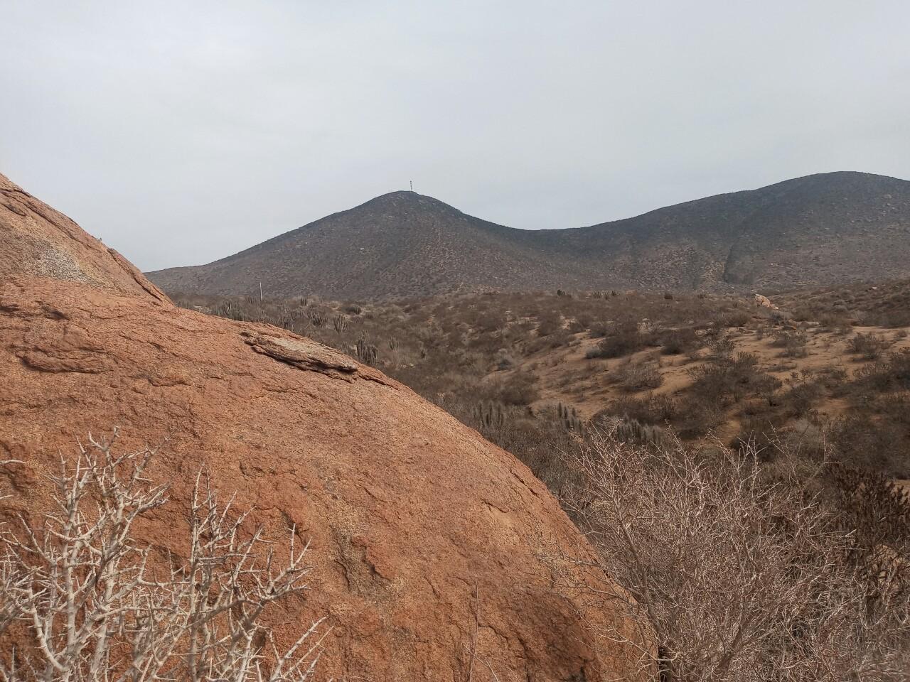 Cerro Guanaqueros
