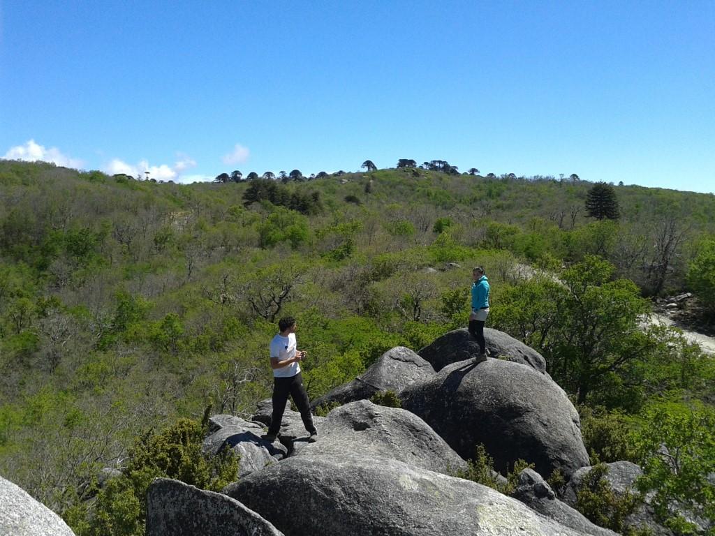 Piedra del Puma