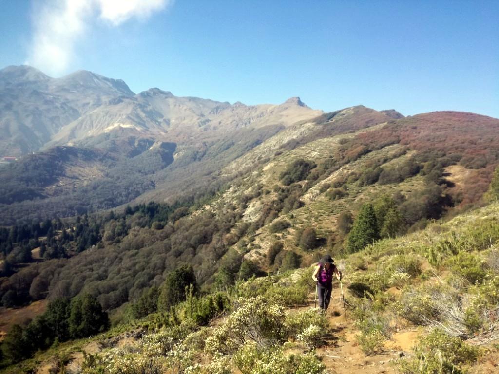 Paso Coltrahue