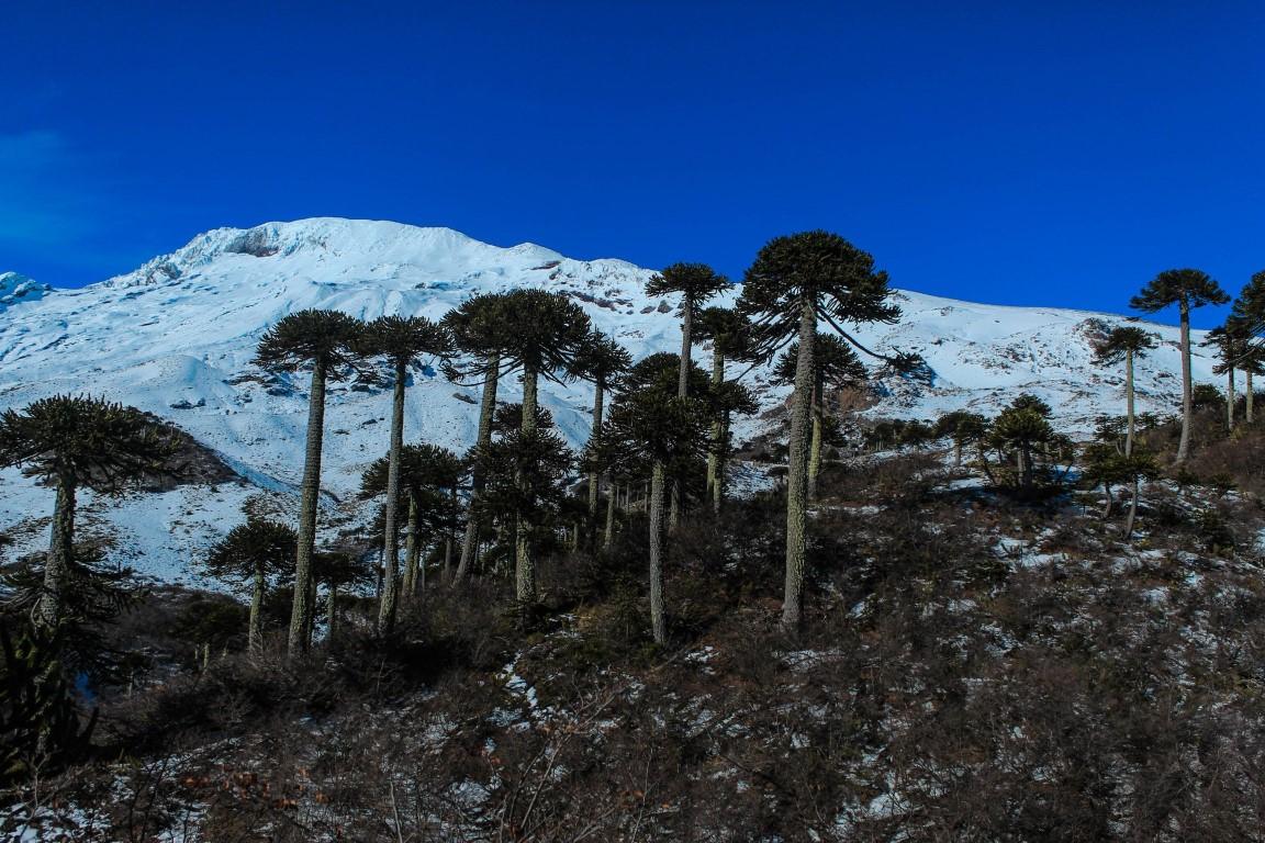 Volcán Callaqui Filo Suroeste