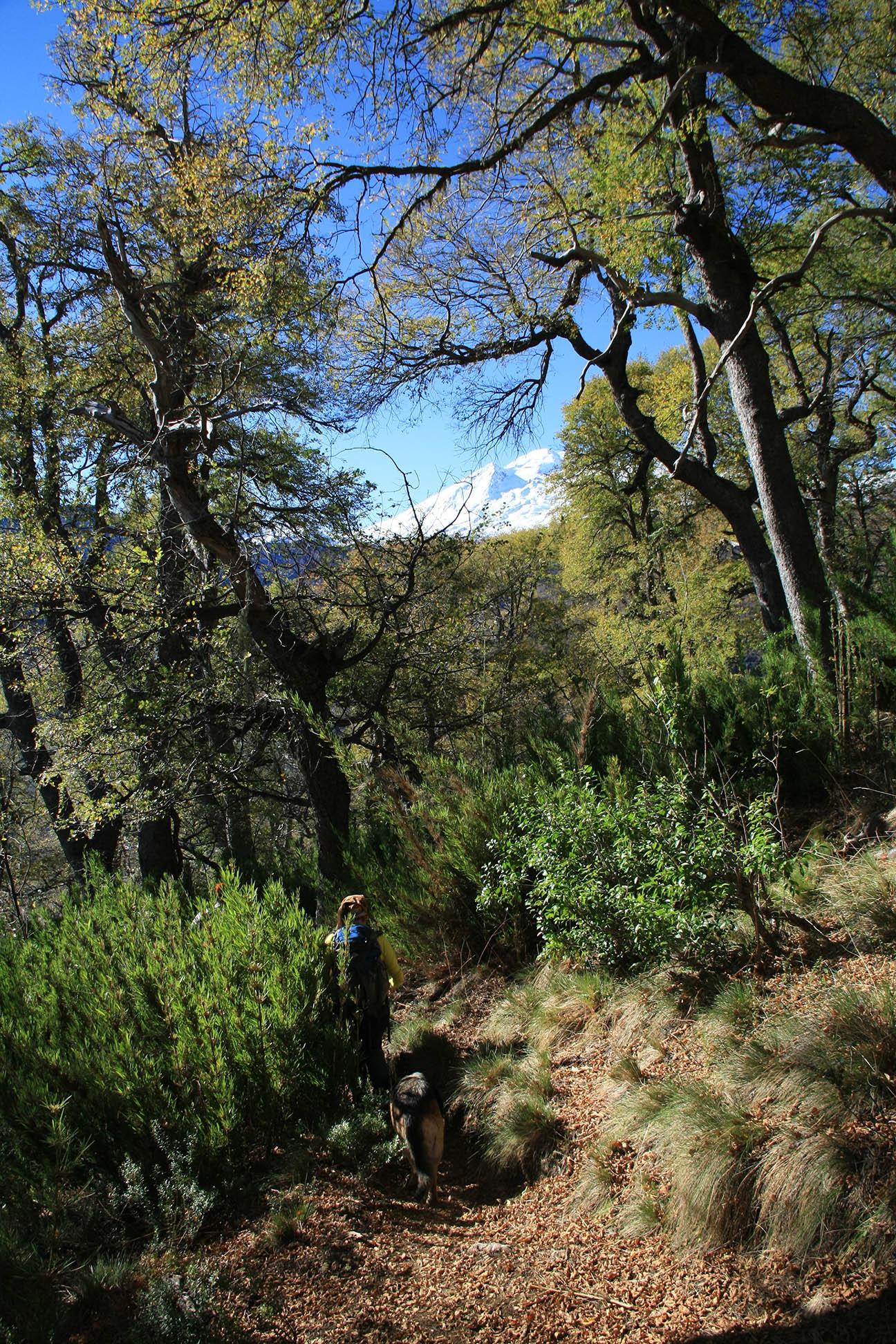 Cerro Las Bravas