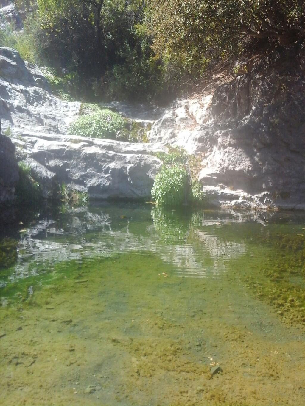 Petroglifos de Poza Azul