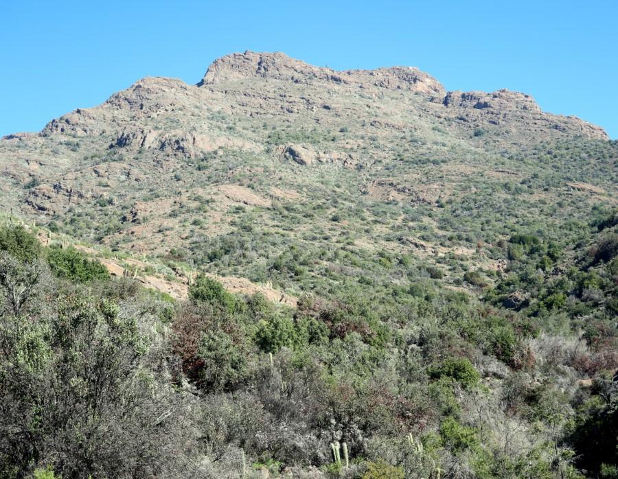 Cerro Caqui