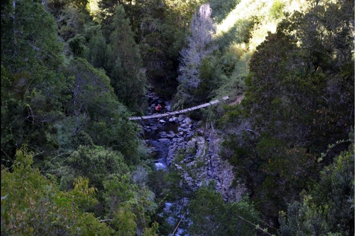 Puente Colgante Los Tilos